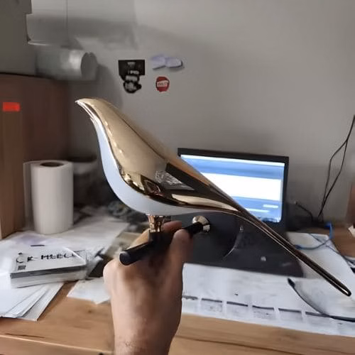 Recibido rápidamente IMG avis oiseau1.jpg