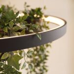 Lámpara colgante de anillo LED negra con jardinera integrada